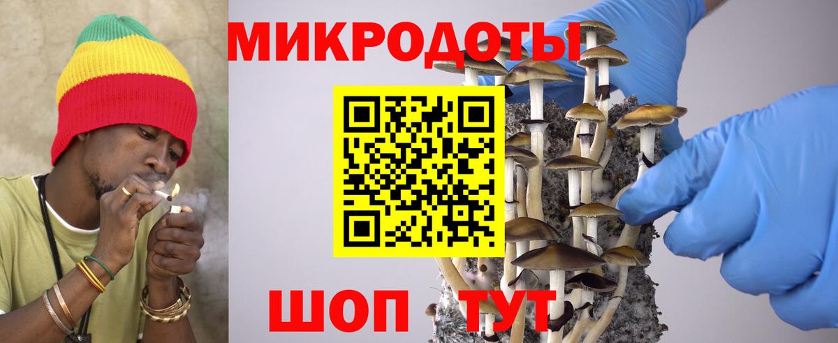 Галлюциногенные грибы Psilocybine cubensis Волжский